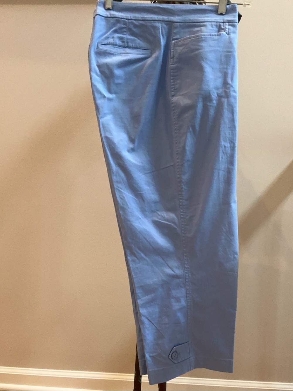 Talbots Light Blue Cropped Ankle Pants